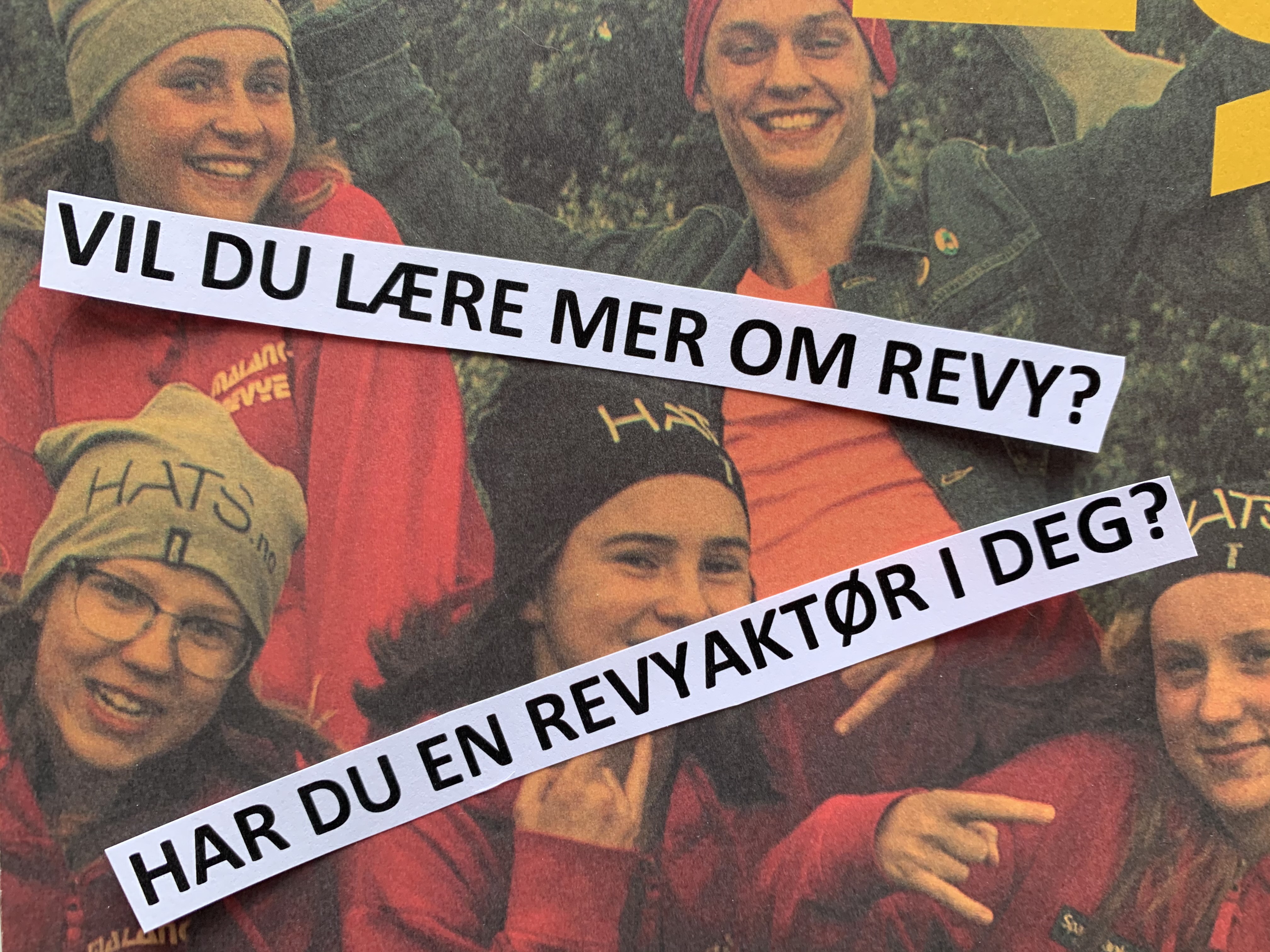 vi ser fem ungdommer